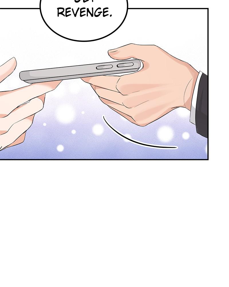 Read Perfect Marriage Revenge EN Manga Online