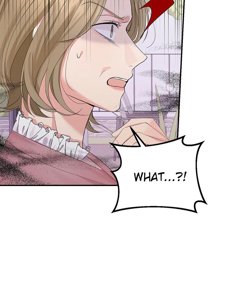 Read Perfect Marriage Revenge EN Manga Online