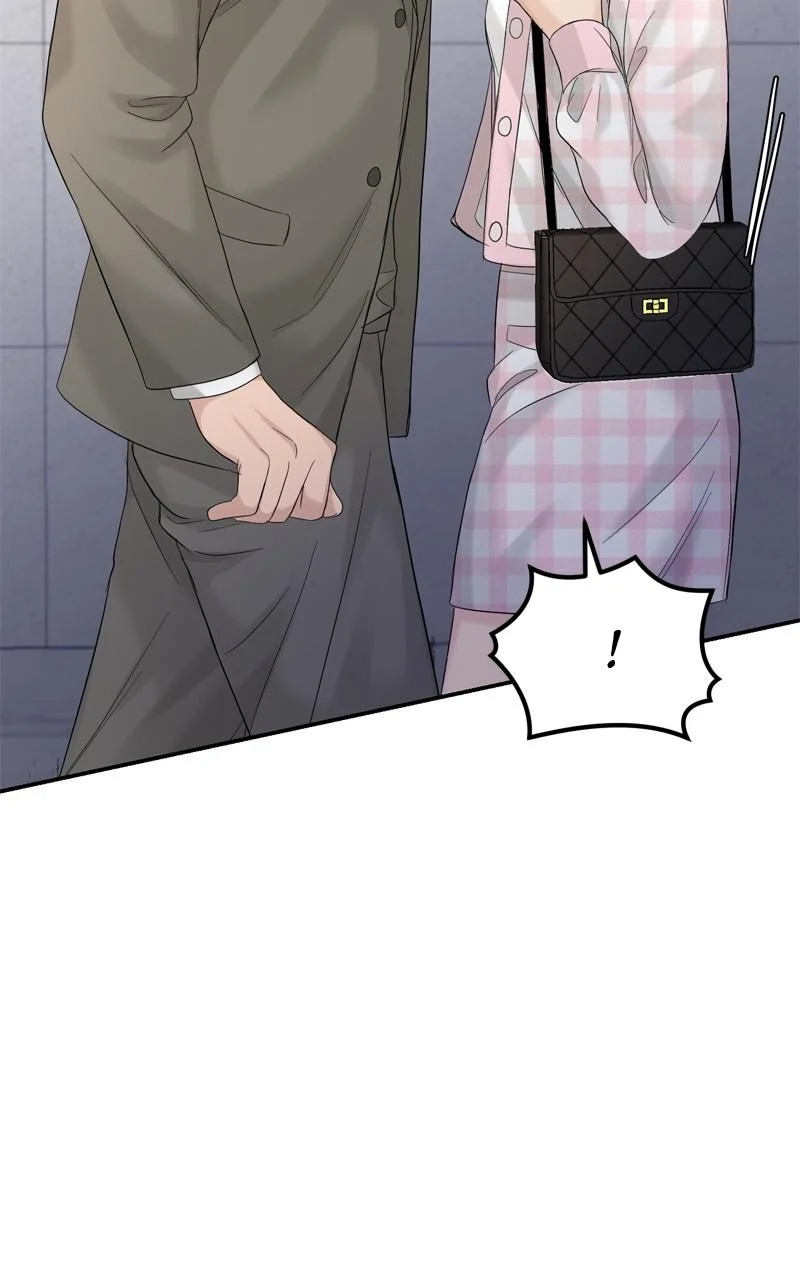 Read Perfect Marriage Revenge EN Manga Online