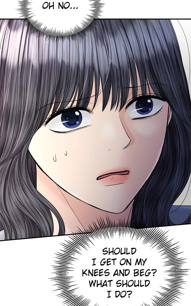 Read Perfect Marriage Revenge EN Manga Online