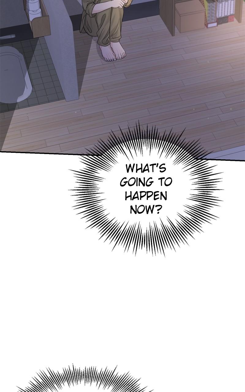 Read Perfect Marriage Revenge EN Manga Online