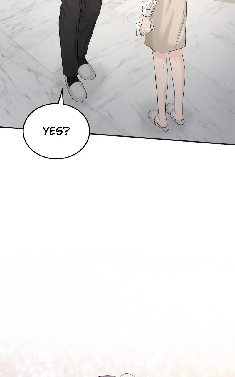 Read Perfect Marriage Revenge EN Manga Online