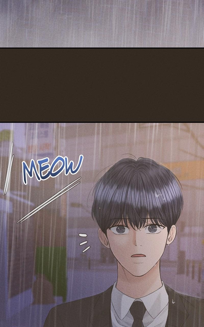 Read Perfect Marriage Revenge EN Manga Online