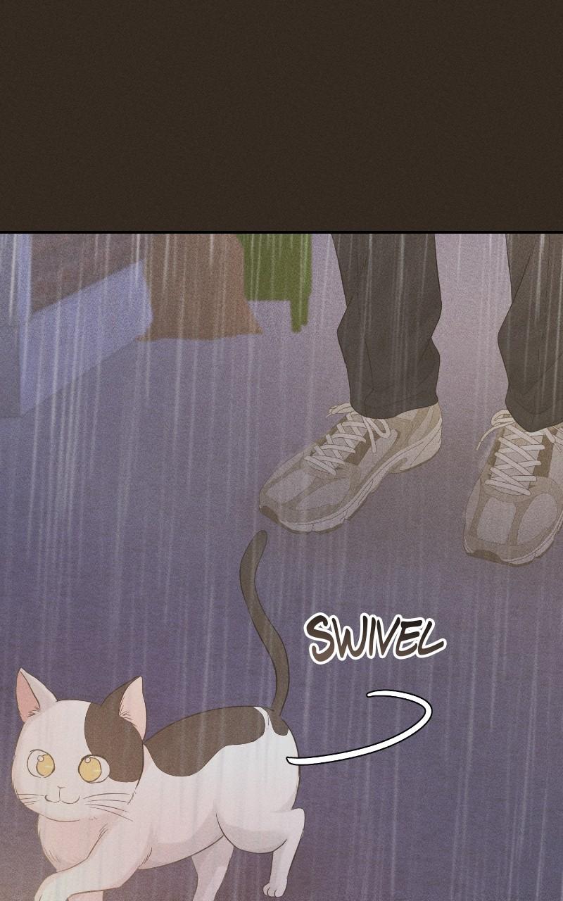 Read Perfect Marriage Revenge EN Manga Online