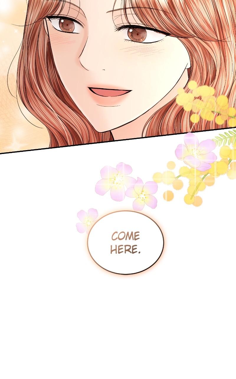 Read Perfect Marriage Revenge EN Manga Online