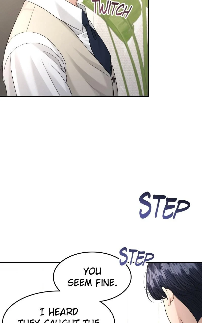 Read Perfect Marriage Revenge EN Manga Online