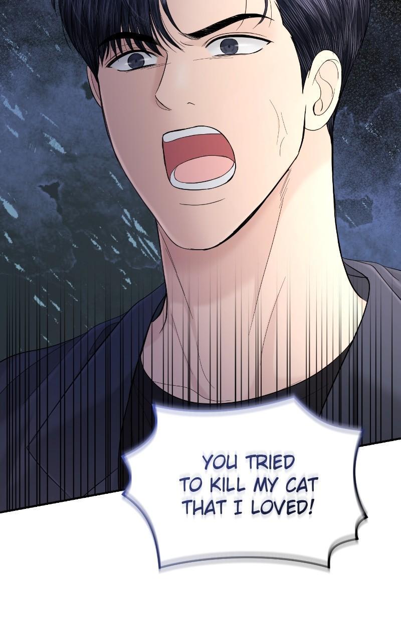 Read Perfect Marriage Revenge EN Manga Online