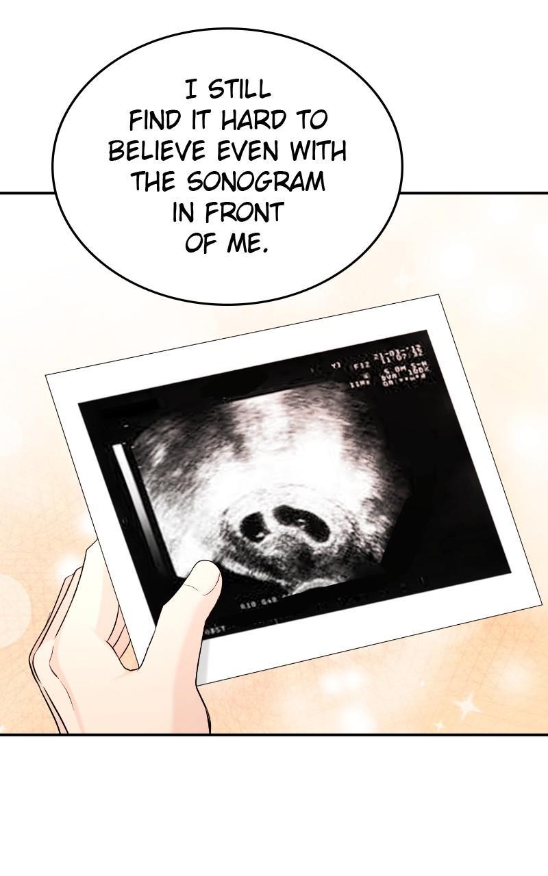 Read Perfect Marriage Revenge EN Manga Online