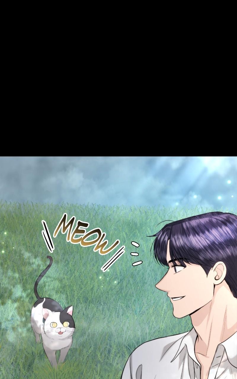 Read Perfect Marriage Revenge EN Manga Online