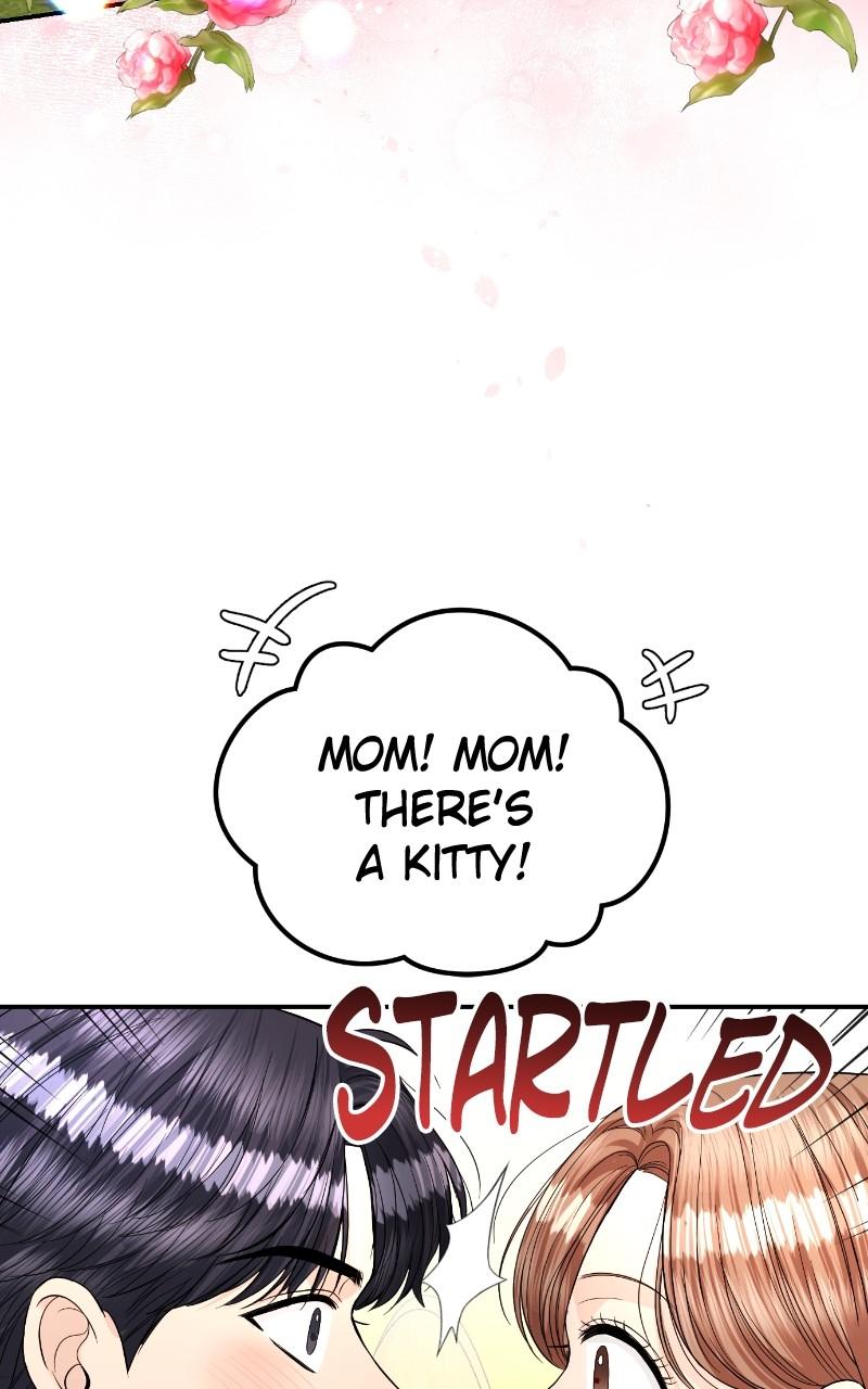 Read Perfect Marriage Revenge EN Manga Online