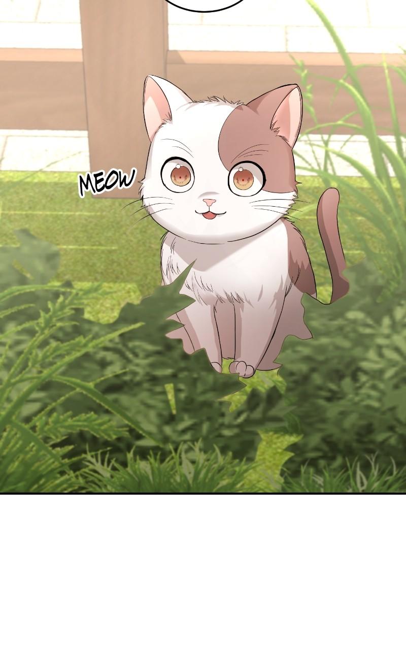 Read Perfect Marriage Revenge EN Manga Online