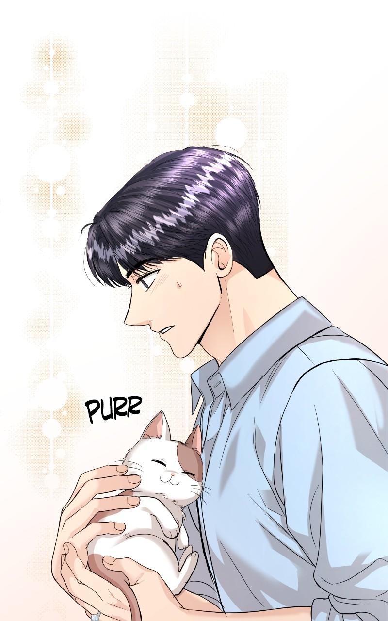 Read Perfect Marriage Revenge EN Manga Online