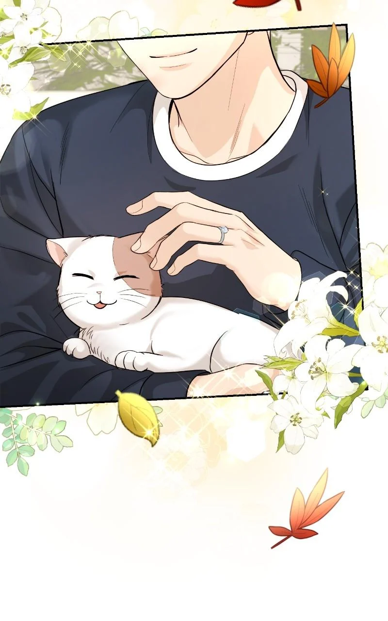 Read Perfect Marriage Revenge EN Manga Online