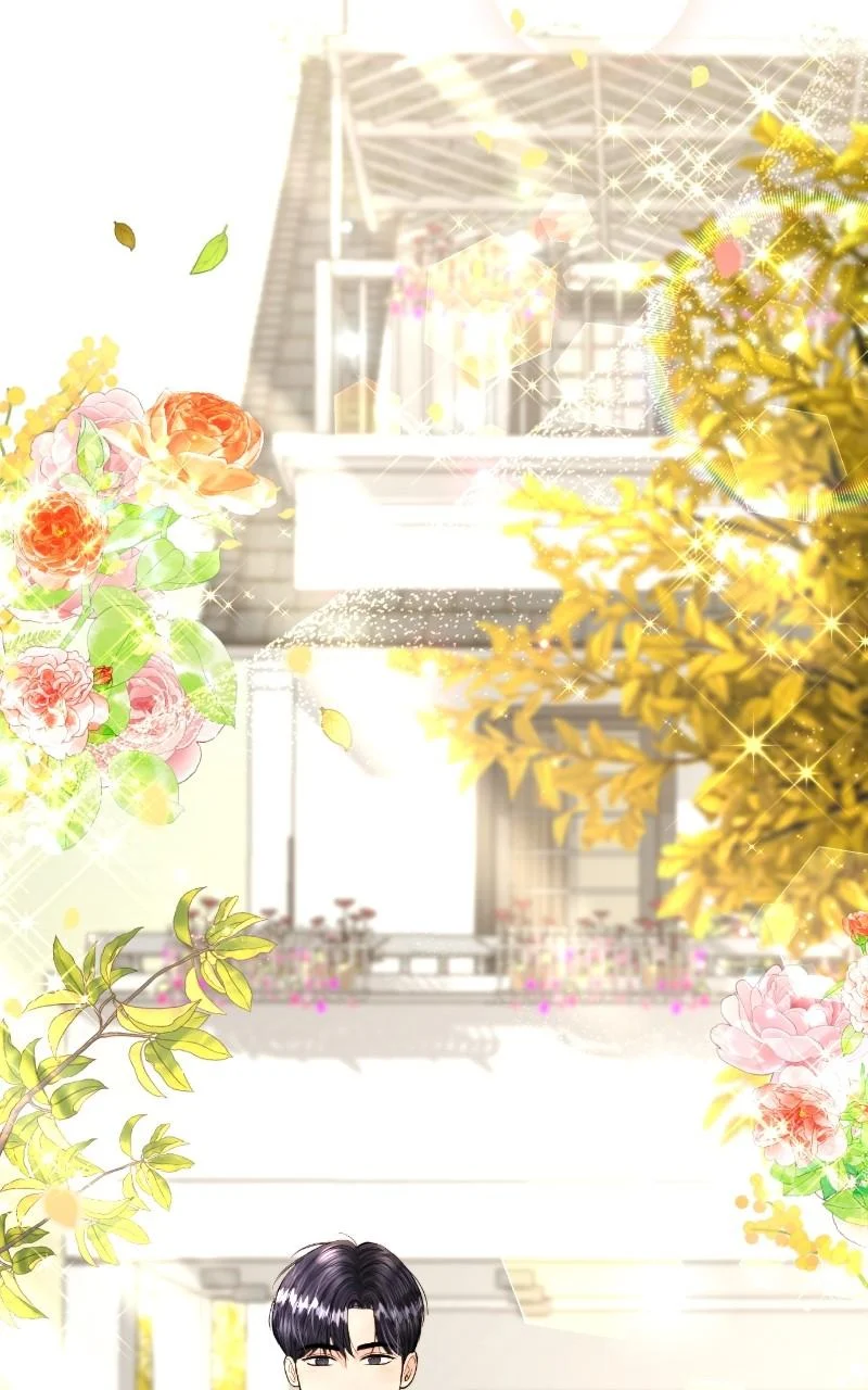 Read Perfect Marriage Revenge EN Manga Online