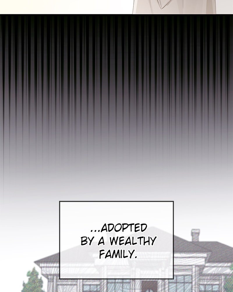 Read Perfect Marriage Revenge EN Manga Online