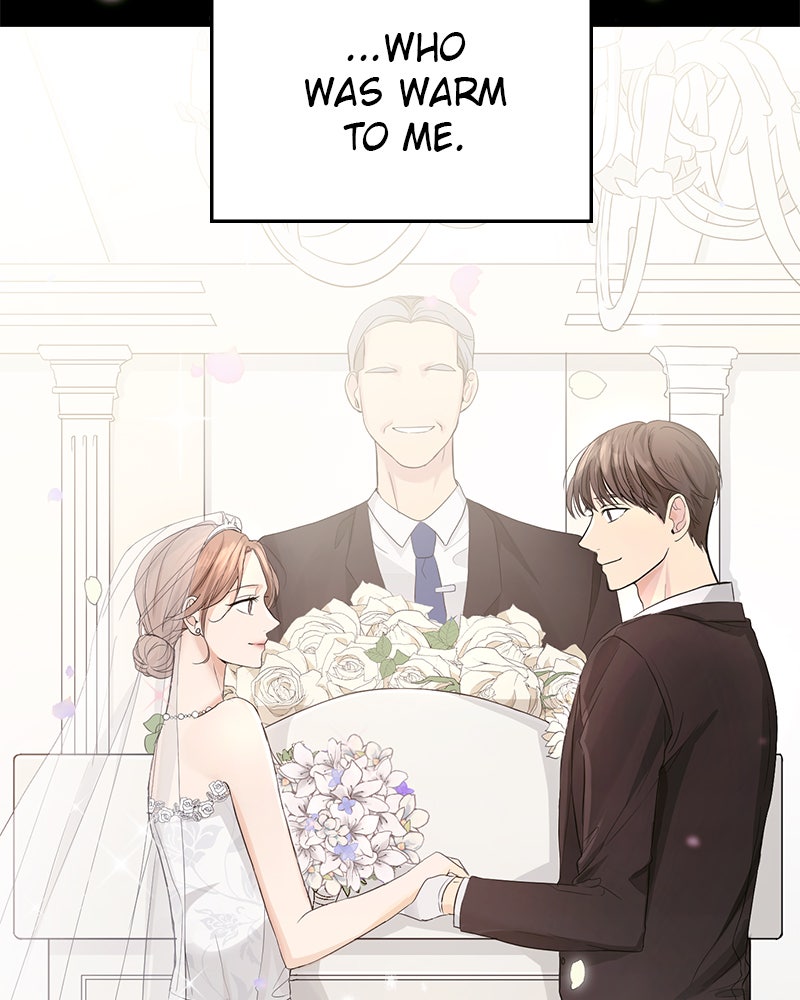 Read Perfect Marriage Revenge EN Manga Online