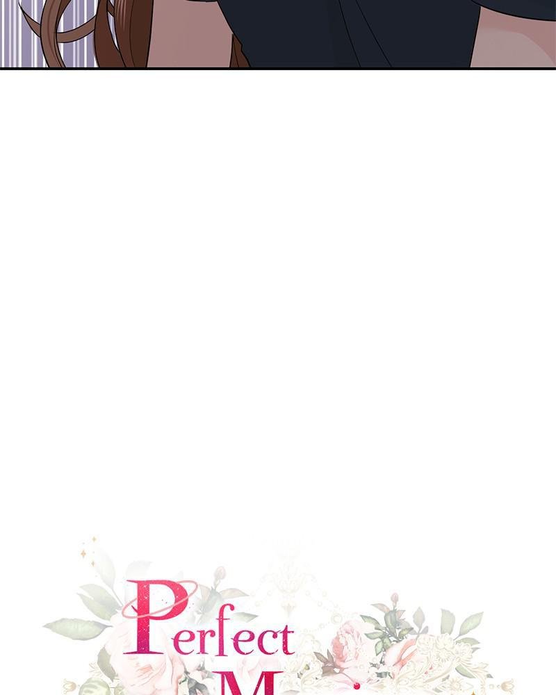 Read Perfect Marriage Revenge EN Manga Online