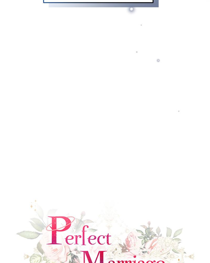 Read Perfect Marriage Revenge EN Manga Online