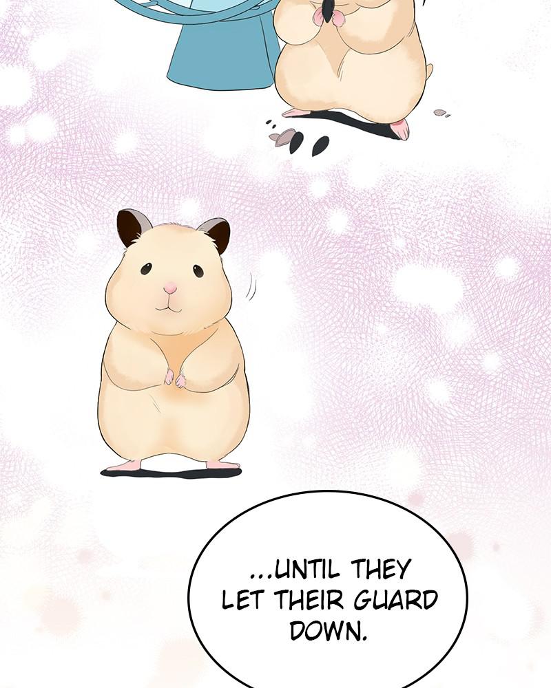 Read Perfect Marriage Revenge EN Manga Online