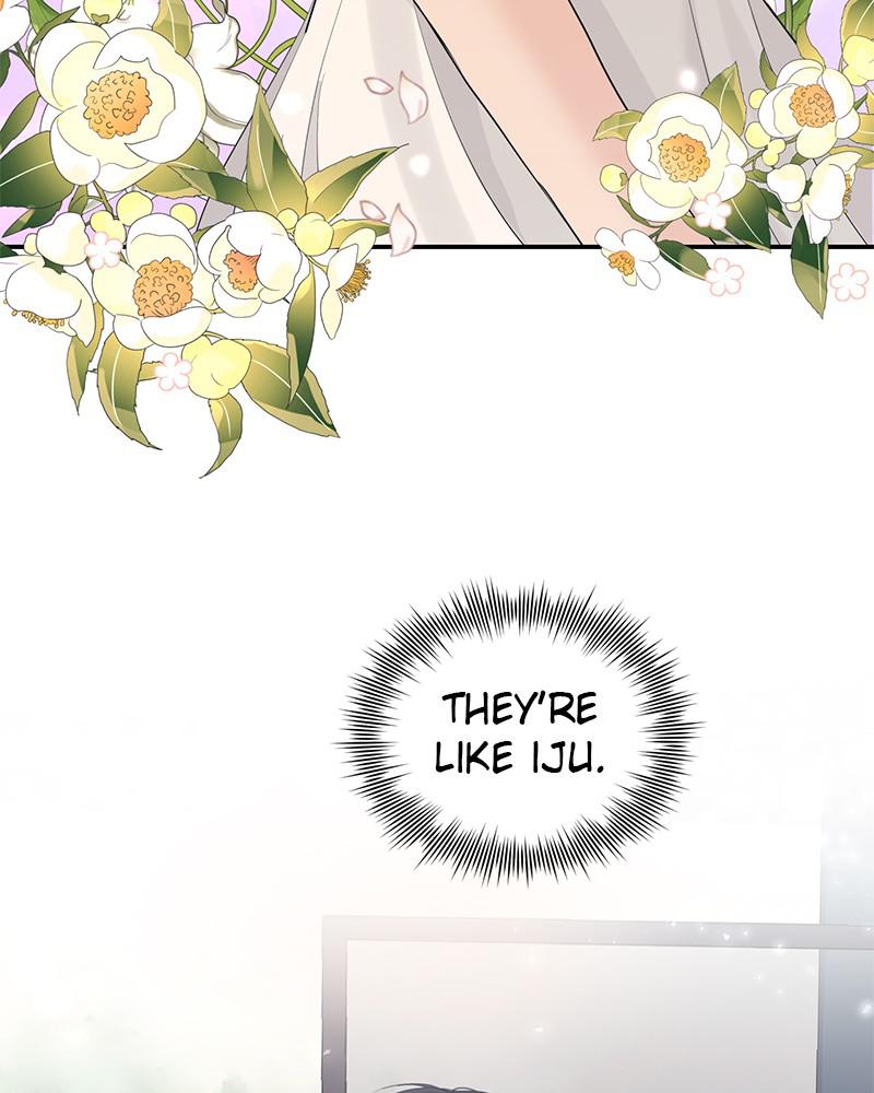 Read Perfect Marriage Revenge EN Manga Online