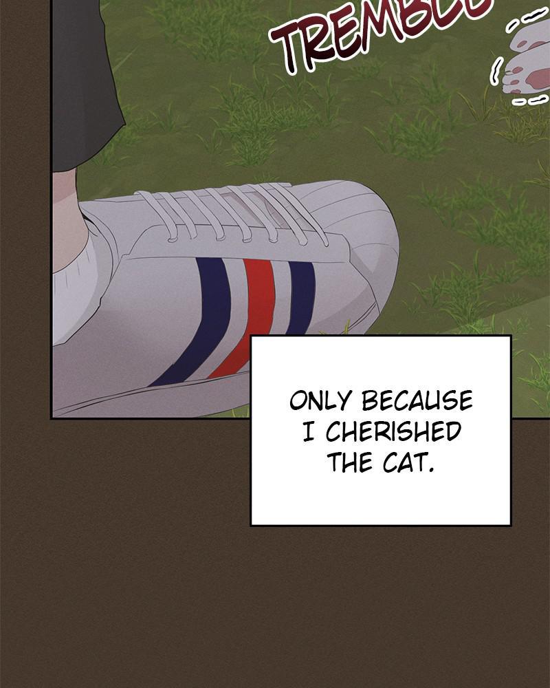 Read Perfect Marriage Revenge EN Manga Online