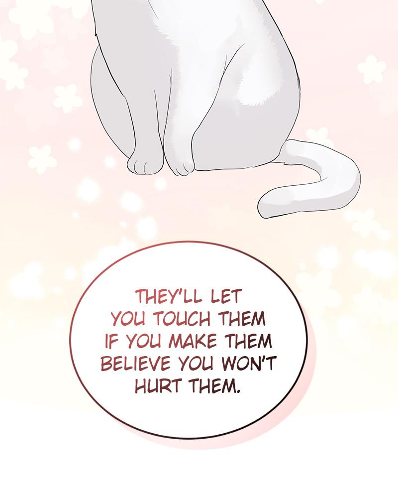 Read Perfect Marriage Revenge EN Manga Online