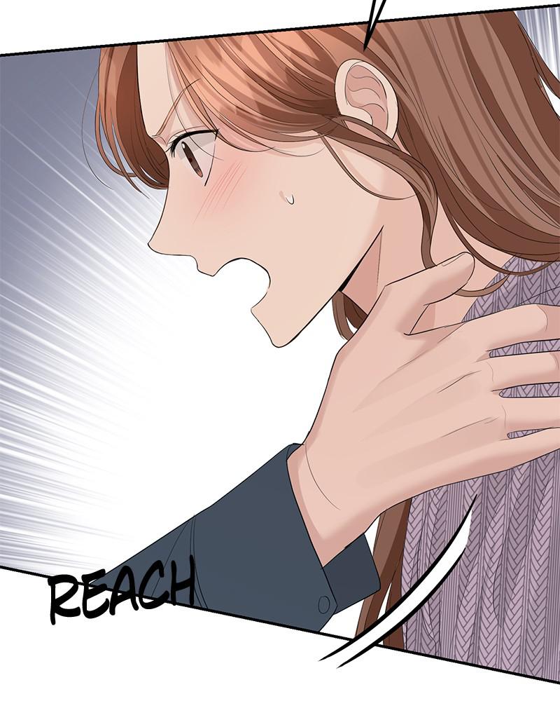 Read Perfect Marriage Revenge EN Manga Online