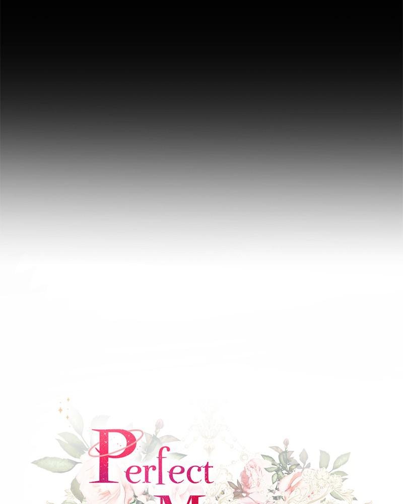 Read Perfect Marriage Revenge EN Manga Online