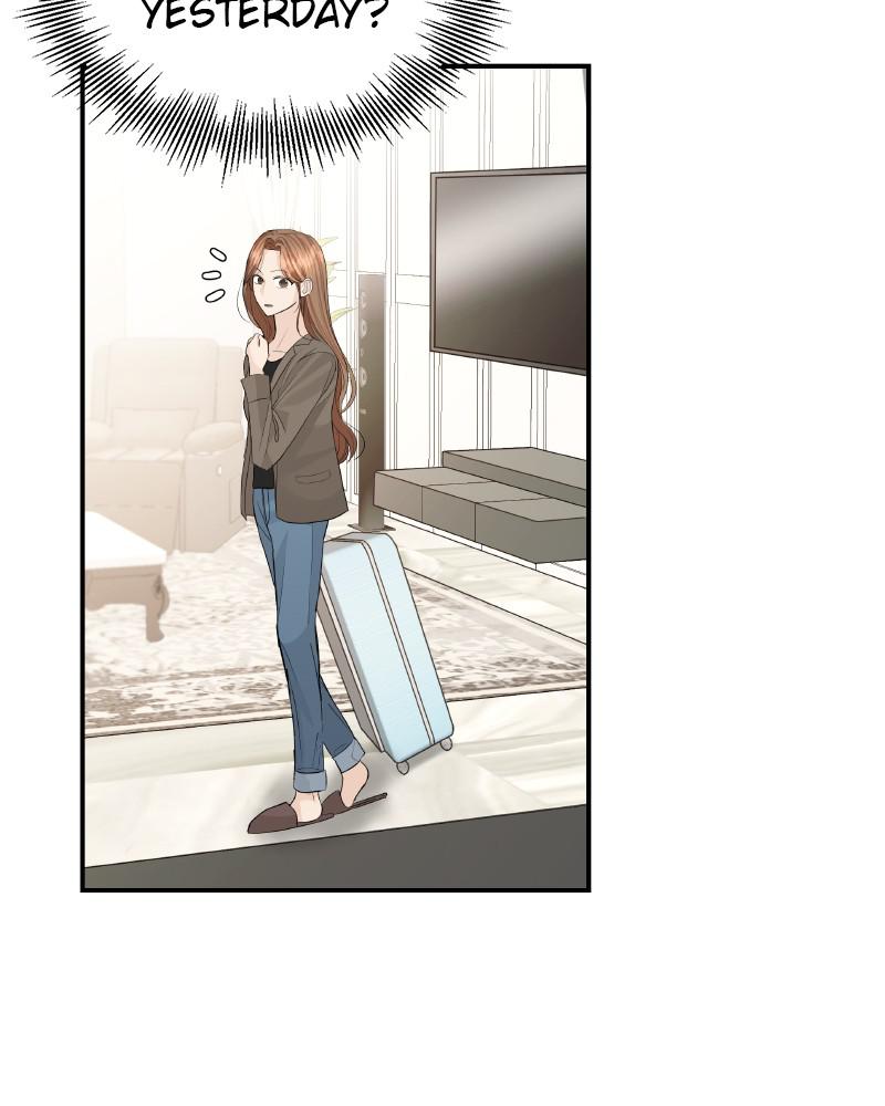 Read Perfect Marriage Revenge EN Manga Online