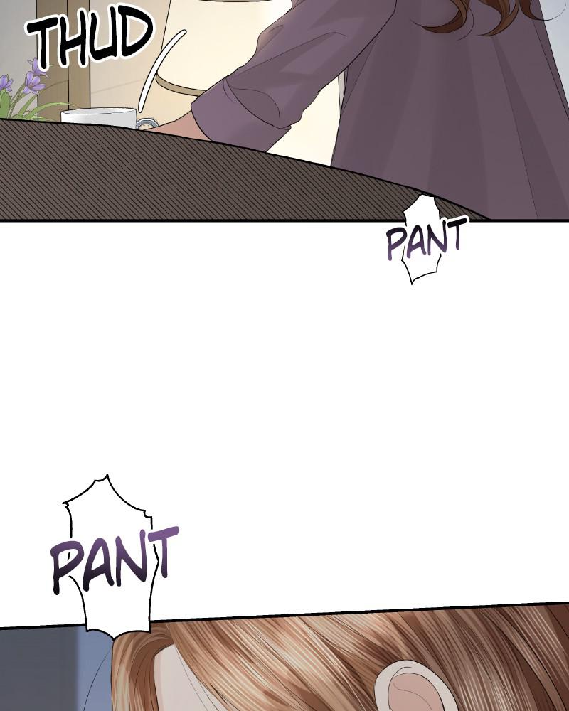 Read Perfect Marriage Revenge EN Manga Online