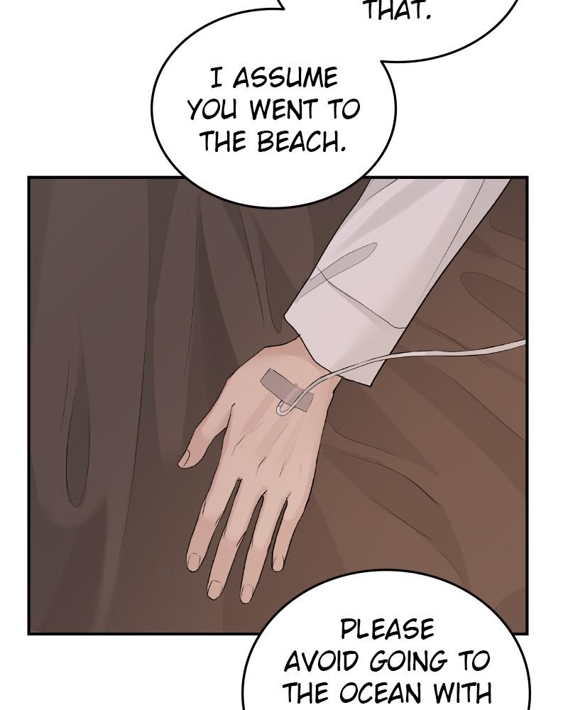 Read Perfect Marriage Revenge EN Manga Online