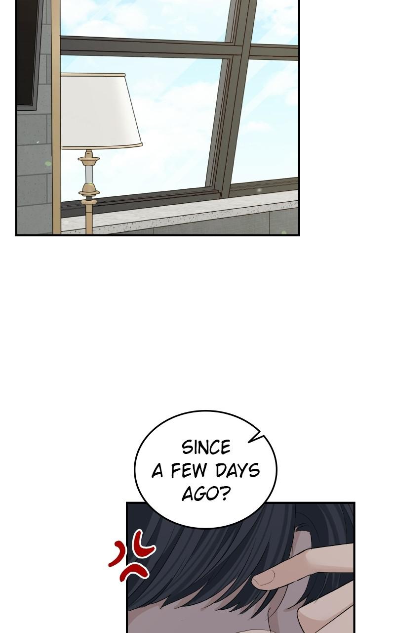 Read Perfect Marriage Revenge EN Manga Online