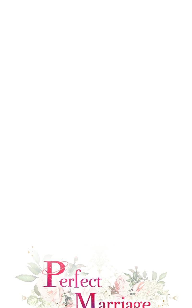 Read Perfect Marriage Revenge EN Manga Online