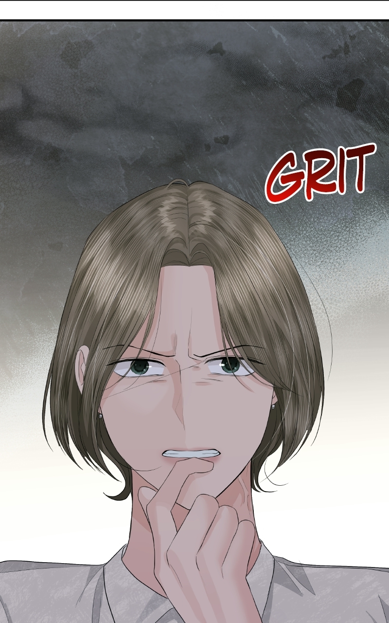 Read Perfect Marriage Revenge EN Manga Online