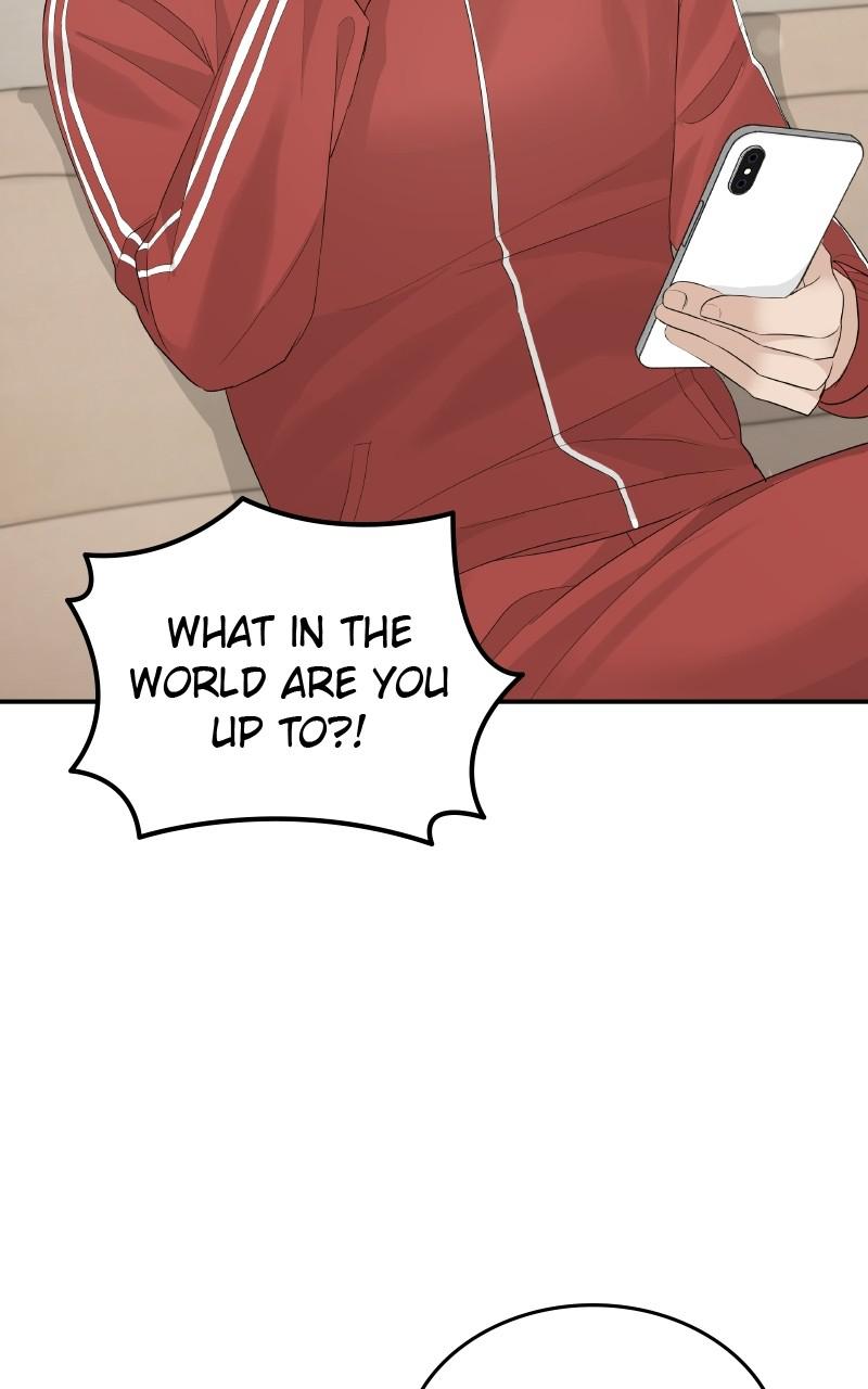 Read Perfect Marriage Revenge EN Manga Online