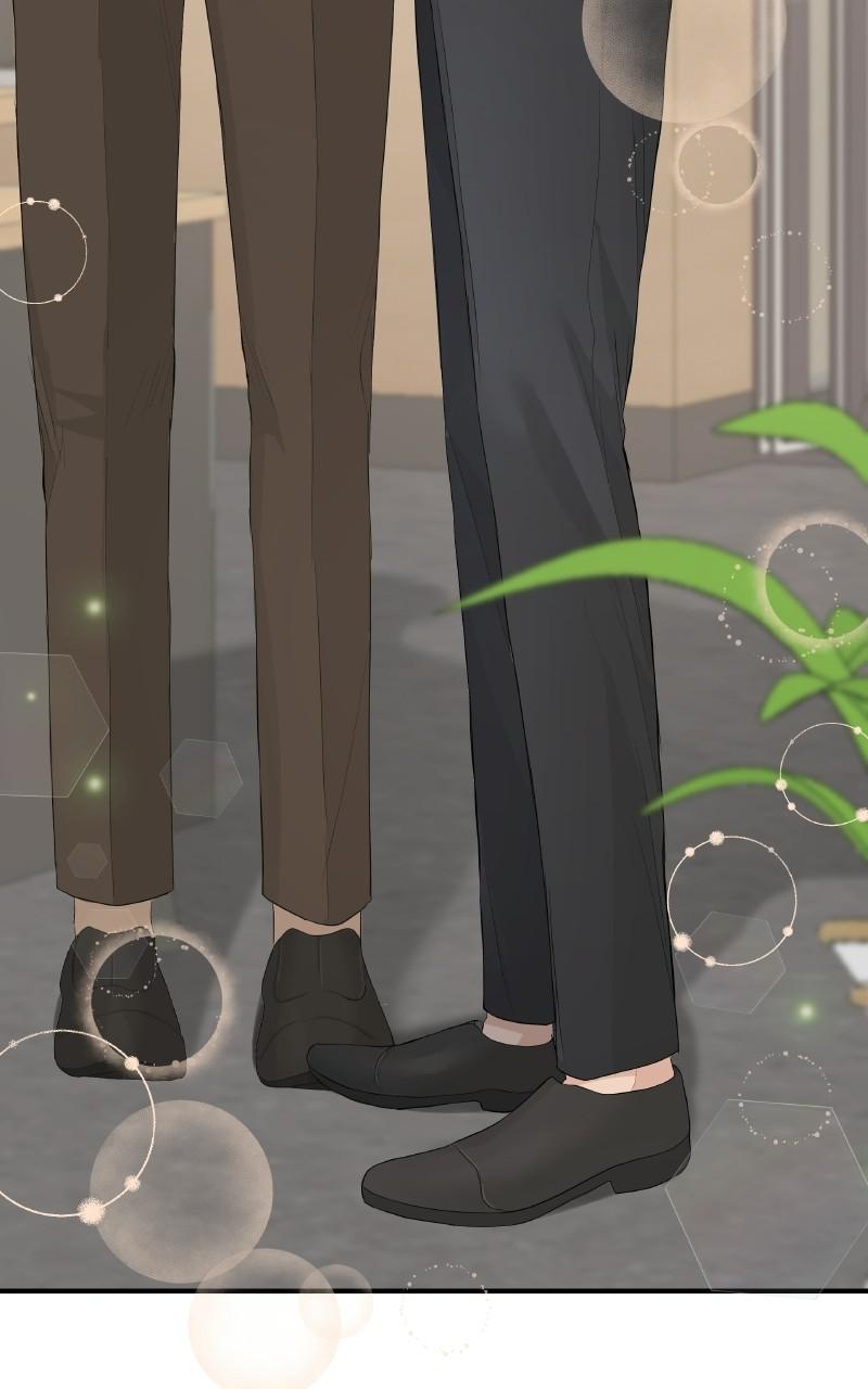 Read Perfect Marriage Revenge EN Manga Online