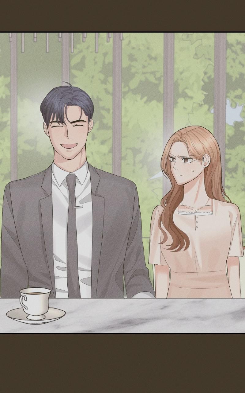 Read Perfect Marriage Revenge EN Manga Online