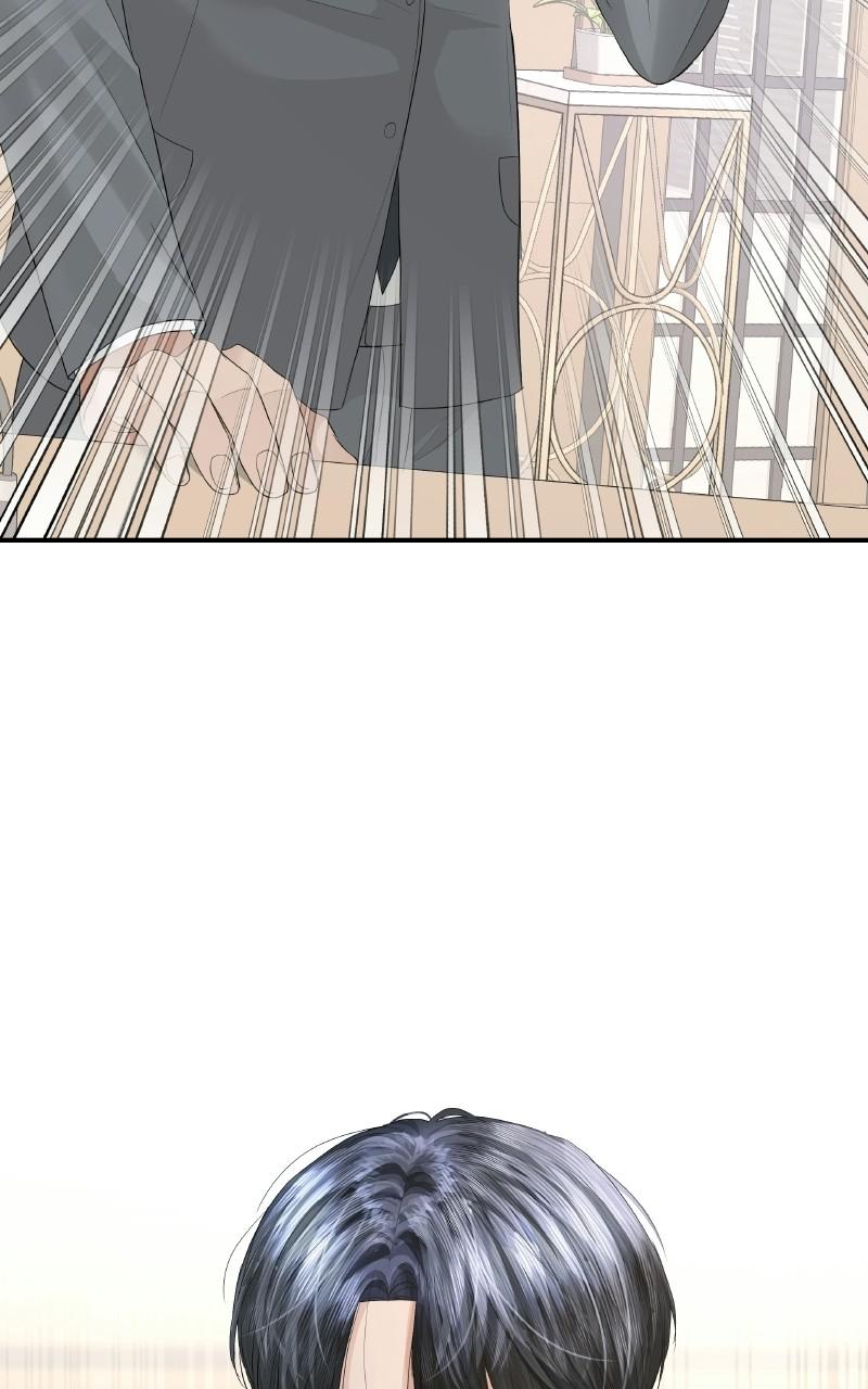 Read Perfect Marriage Revenge EN Manga Online