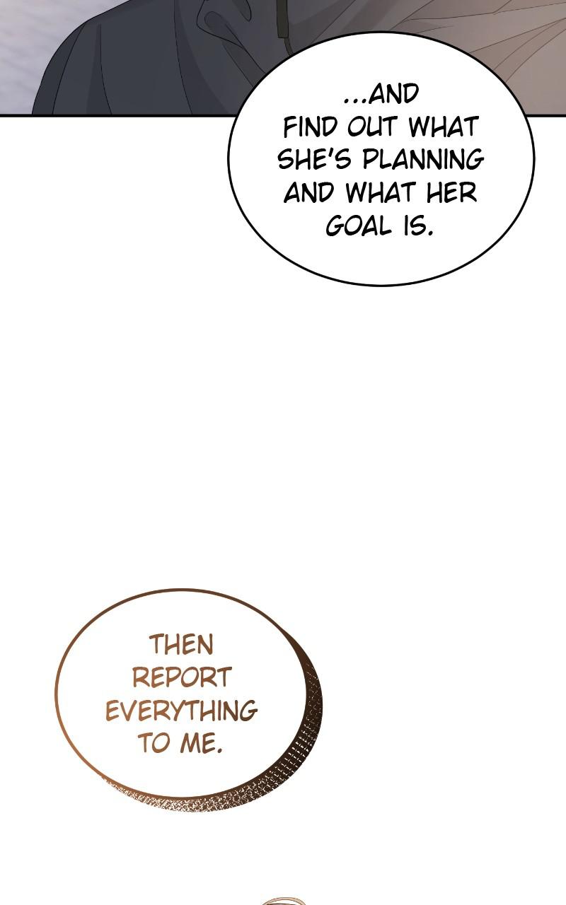 Read Perfect Marriage Revenge EN Manga Online