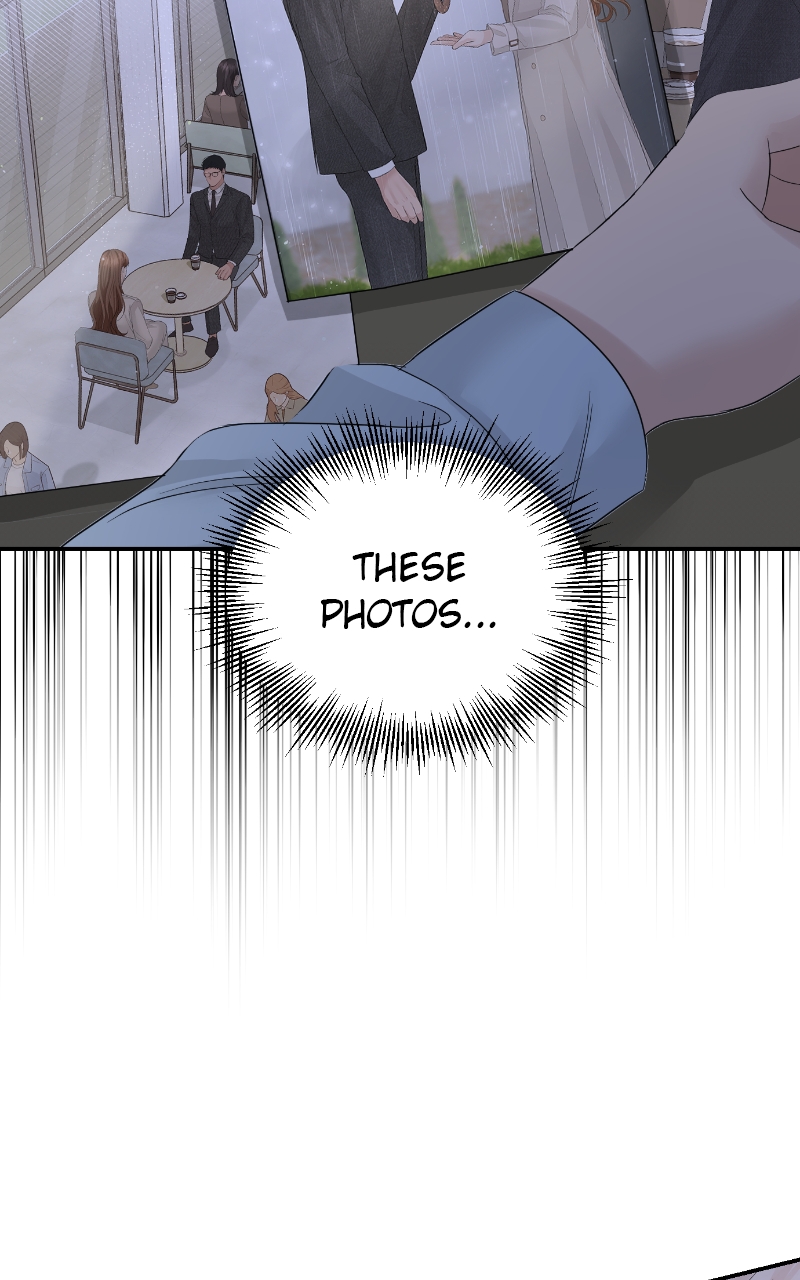 Read Perfect Marriage Revenge EN Manga Online