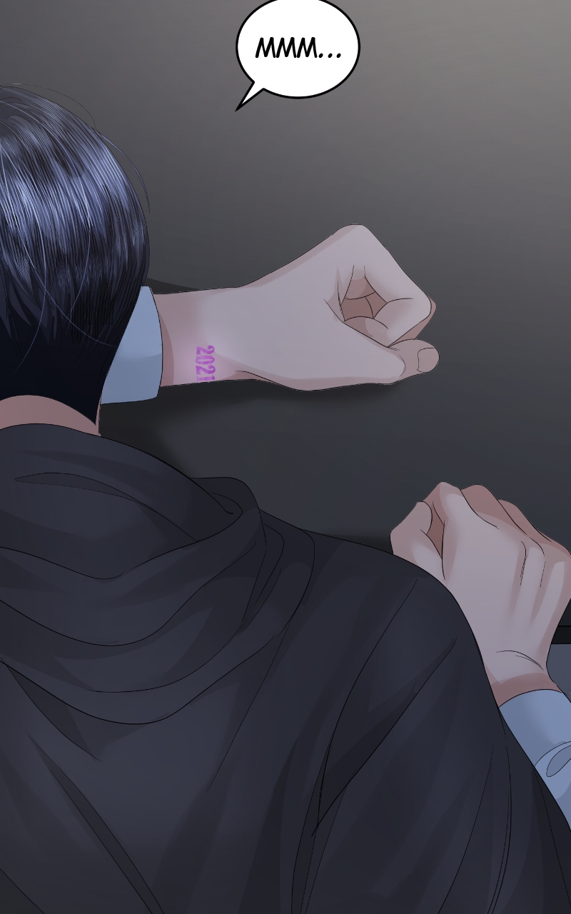 Read Perfect Marriage Revenge EN Manga Online