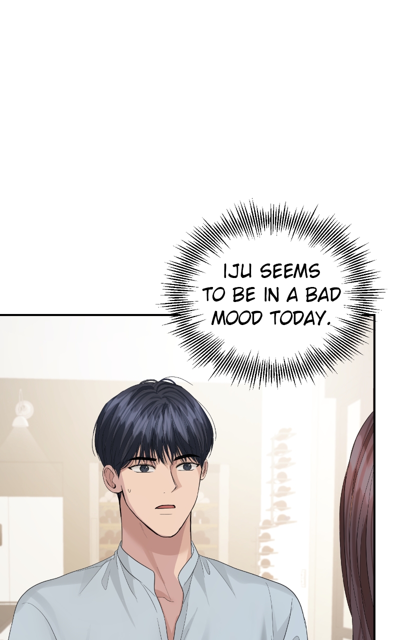 Read Perfect Marriage Revenge EN Manga Online