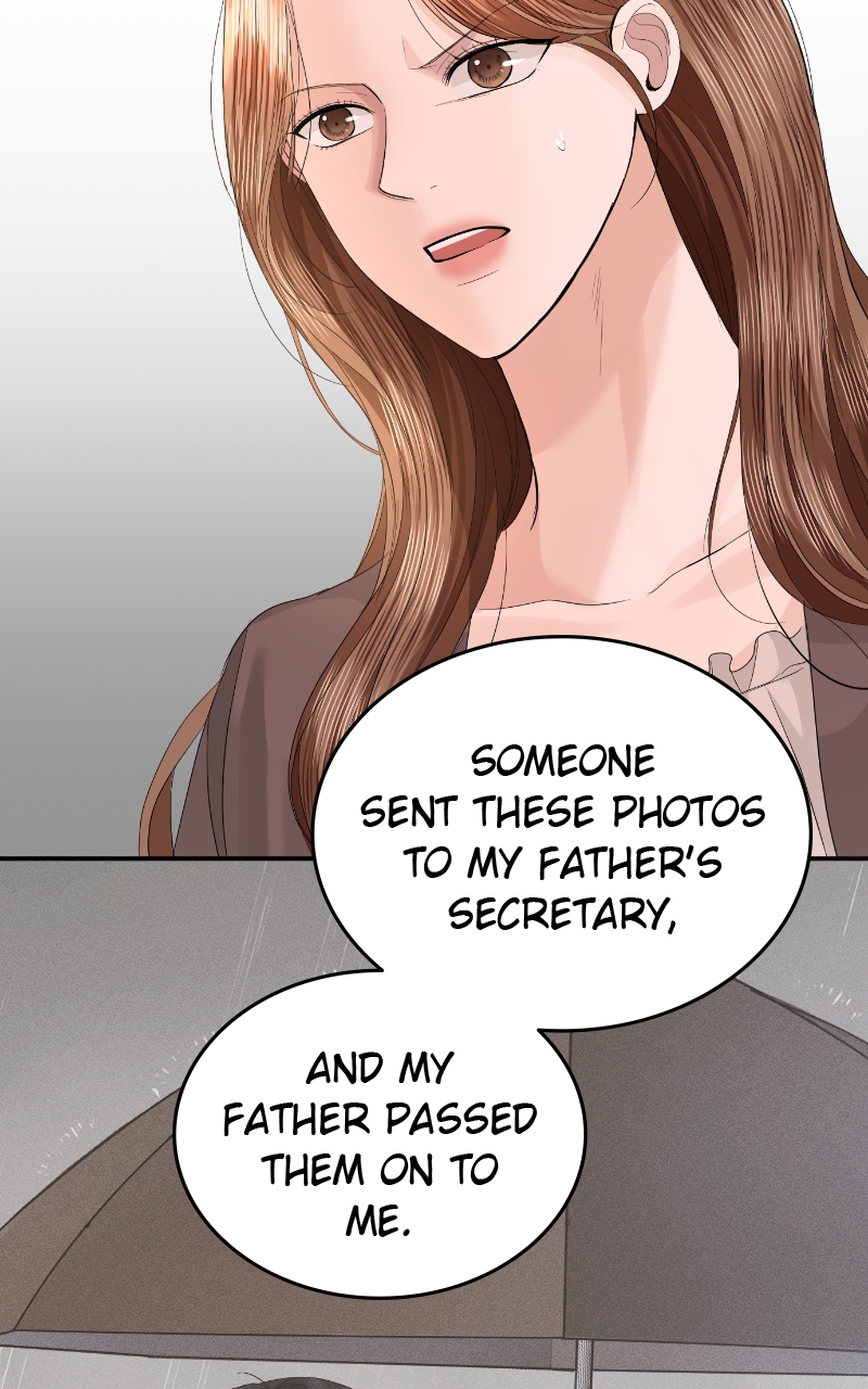 Read Perfect Marriage Revenge EN Manga Online