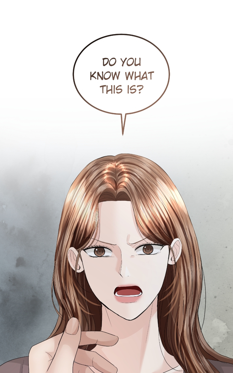 Read Perfect Marriage Revenge EN Manga Online