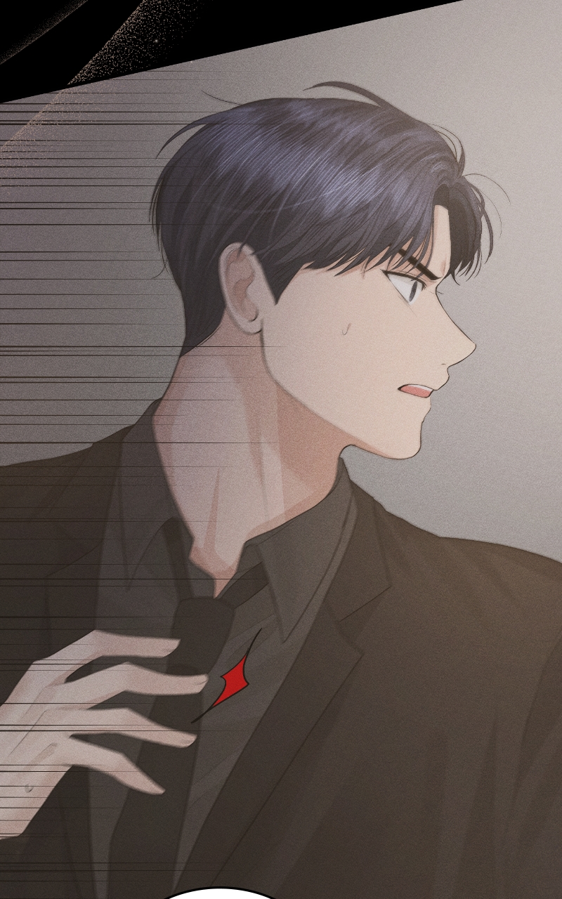 Read Perfect Marriage Revenge EN Manga Online