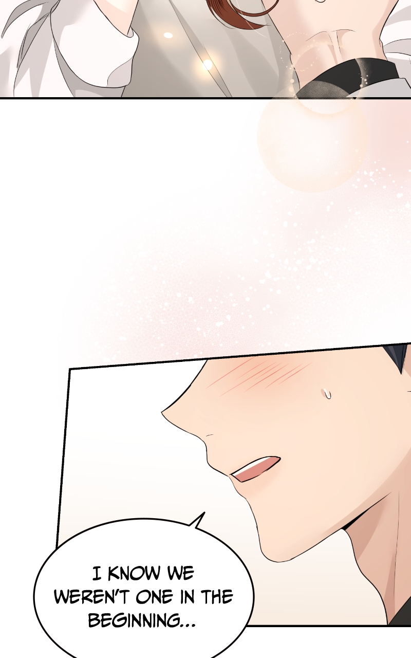 Read Perfect Marriage Revenge EN Manga Online