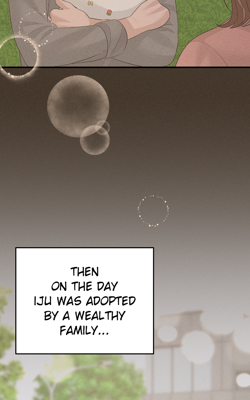 Read Perfect Marriage Revenge EN Manga Online