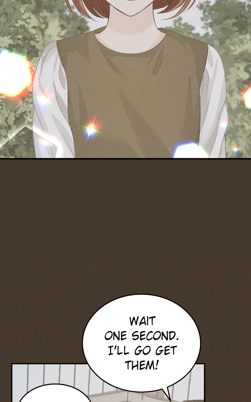 Read Perfect Marriage Revenge EN Manga Online