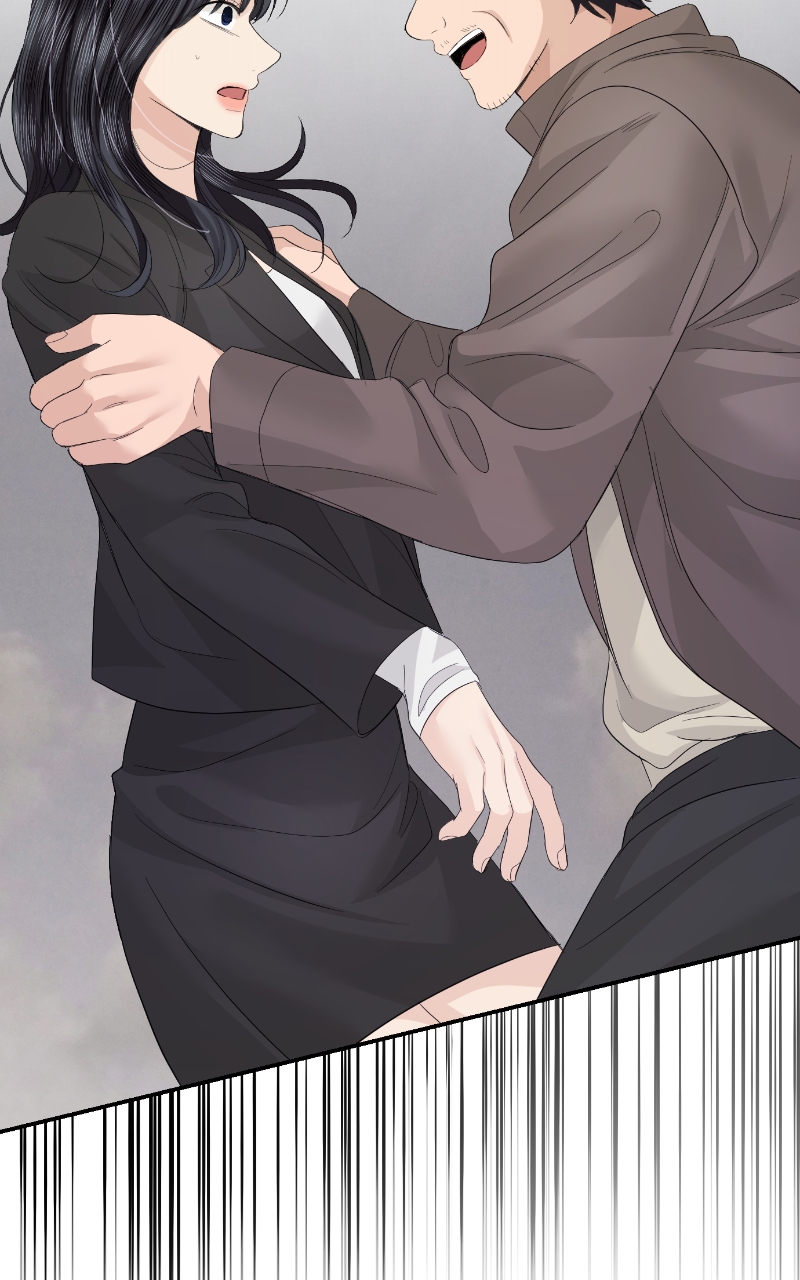 Read Perfect Marriage Revenge EN Manga Online