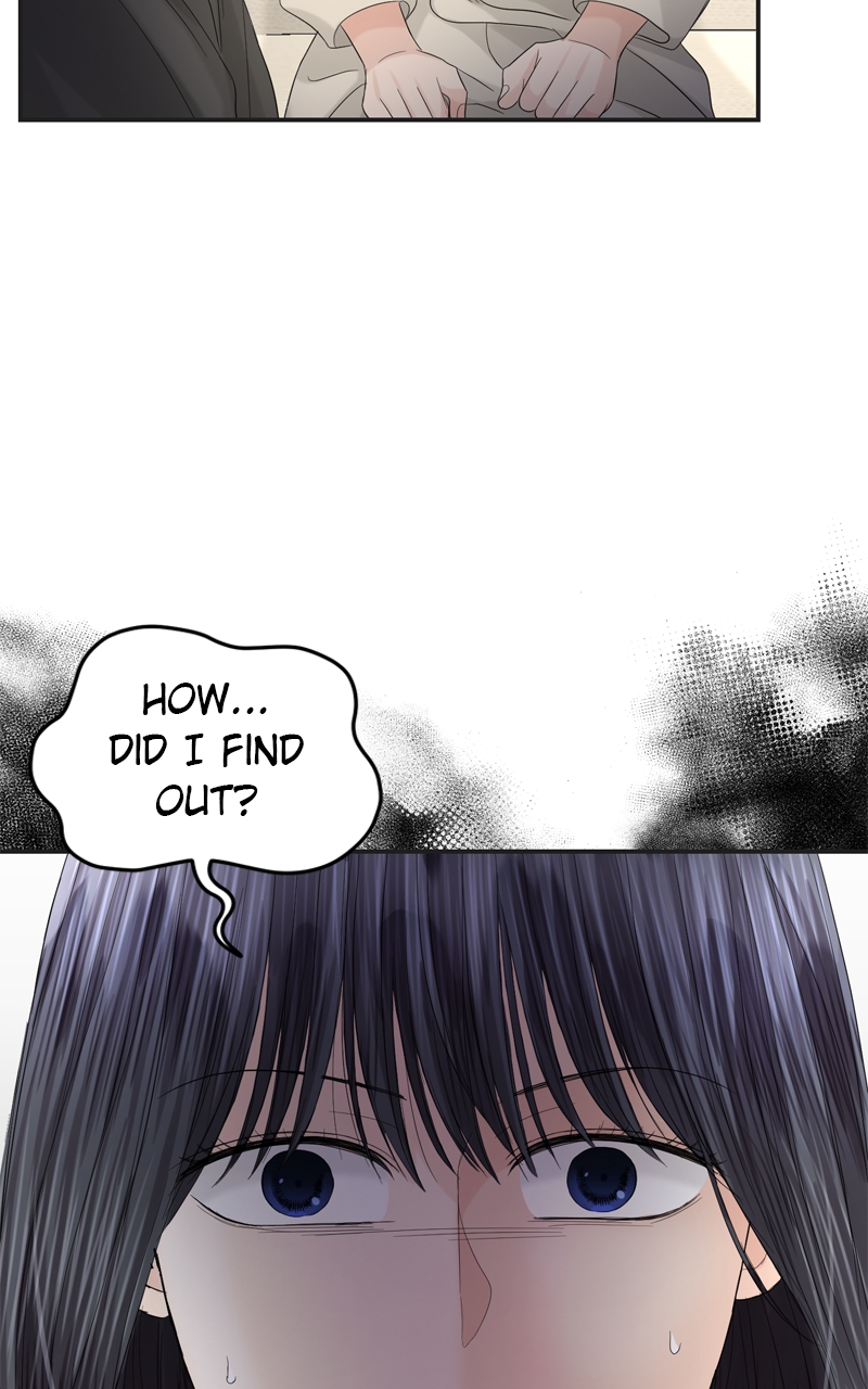 Read Perfect Marriage Revenge EN Manga Online